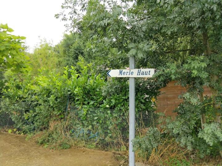 Belle Maison Du Quercy Septfonds Kültér fotó