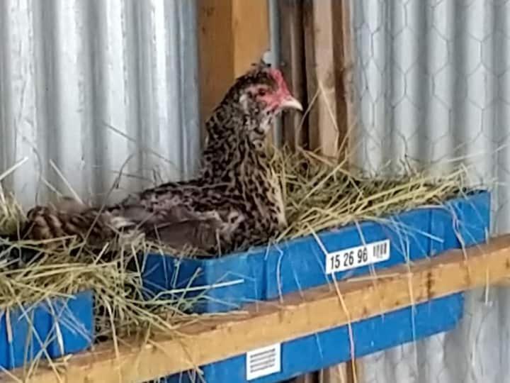 Belle Maison Du Quercy Septfonds Kültér fotó